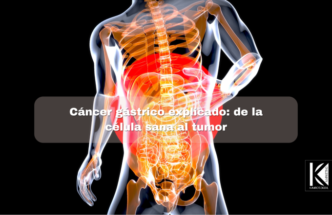 KDM_Digital marketing-7